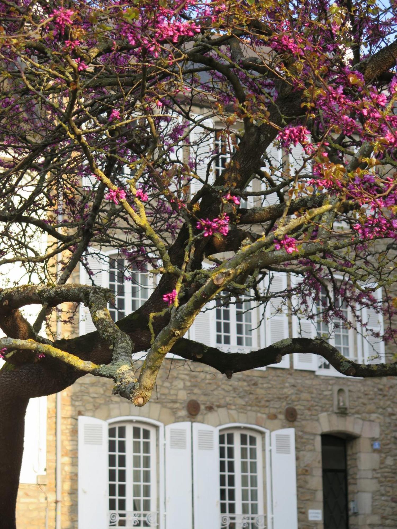 La Villa Garenne Vannes Kültér fotó
